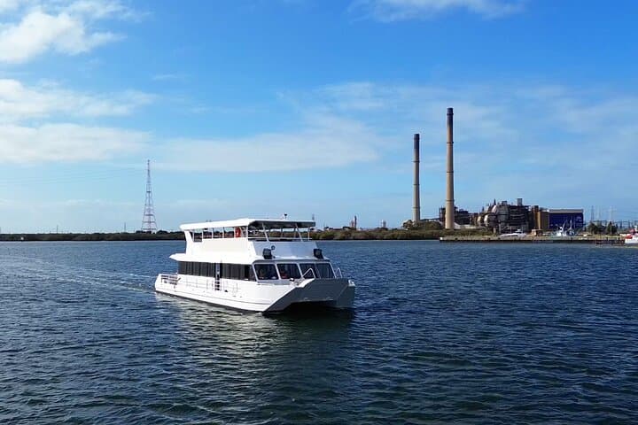 Port Adelaide Dolphin & Maritime Cruise — 2-Hour Wildlife and History Tour photo 4