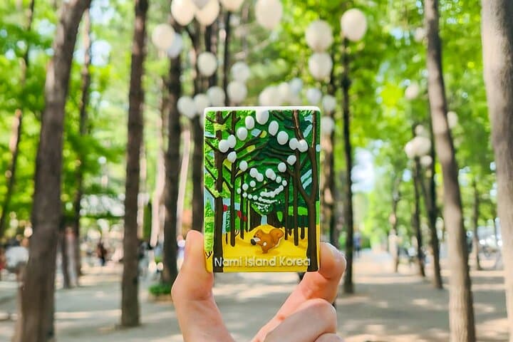 Day Trip to Nami Island: Hanbok, Rail Bike & Waterfall from Seoul