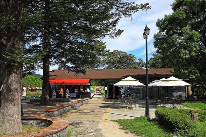 Day Trip to Nami Island: Hanbok, Rail Bike & Waterfall from Seoul photo 2