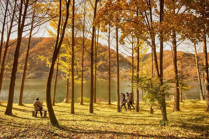 Day Trip to Nami Island: Hanbok, Rail Bike & Waterfall from Seoul photo 4