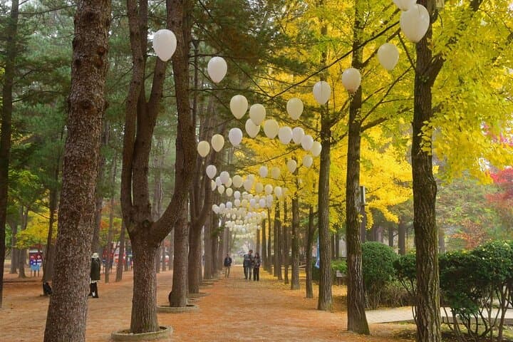 Day Trip to Nami Island: Hanbok, Rail Bike & Waterfall from Seoul photo 3