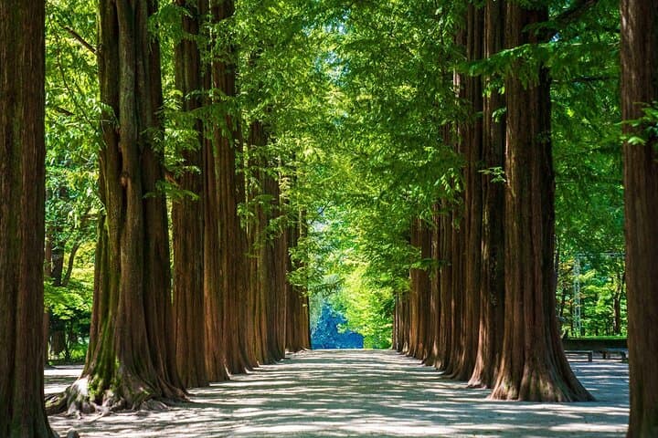 Day Trip to Nami Island: Hanbok, Rail Bike & Waterfall from Seoul photo 6