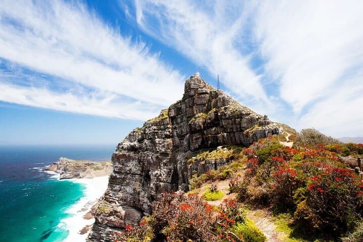 Cape Peninsula Full-Day Private Tour — Chapman’s Peak, Cape Point & Boulders Beach photo 4