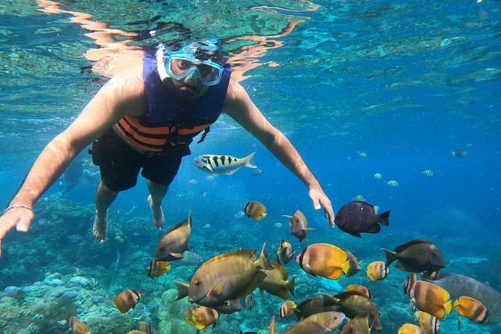 Nusa Penida Private Snorkel & West Island Sightseeing: Kelingking, Manta Bay & Broken Beach photo 1
