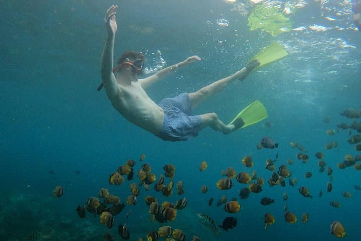 Nusa Penida Private Snorkel & West Island Sightseeing: Kelingking, Manta Bay & Broken Beach photo 2