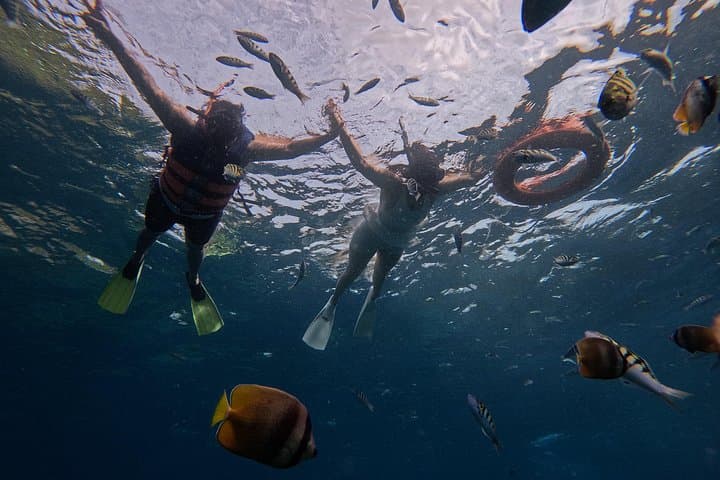 Nusa Penida Private Snorkel & West Island Sightseeing: Kelingking, Manta Bay & Broken Beach photo 4