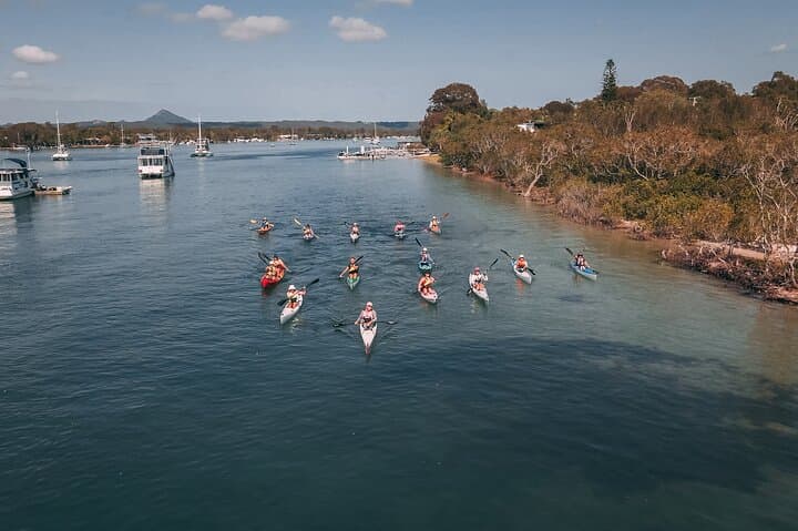 Noosa River Kayak: Mangroves, Mansions & Wildlife photo 3