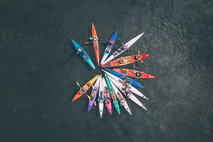 Noosa River Kayak: Mangroves, Mansions & Wildlife photo 4