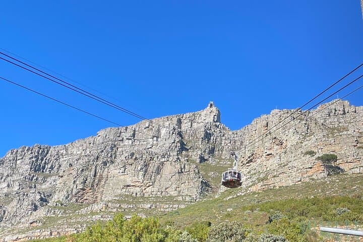 From Table Mountain to Cape Point: Full-Day Cape Town Coastal & Winelands Escape photo 5
