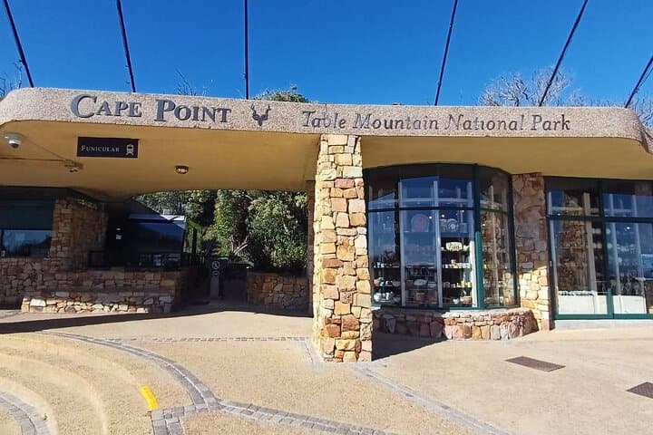 Half-Day Cape Point Tour with Penguins from Cape Town — Boulders & Cape Point Reserve photo 5