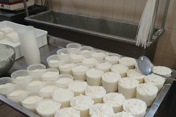 Pisa Cheese-Making Class: Hands-On Mozzarella & Tasting Experience photo 2
