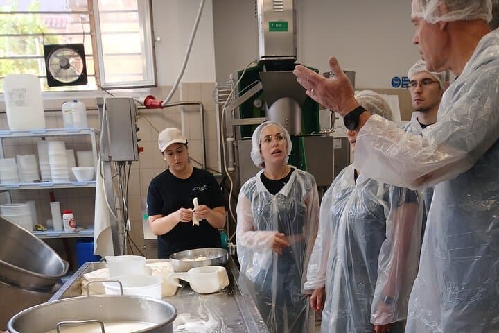 Pisa Cheese-Making Class: Hands-On Mozzarella & Tasting Experience photo 3