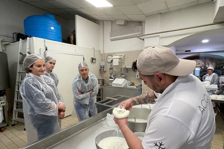 Pisa Cheese-Making Class: Hands-On Mozzarella & Tasting Experience photo 6