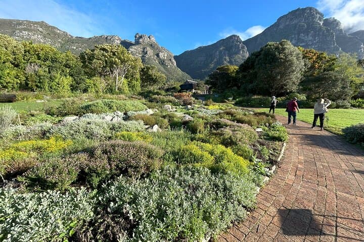 Table Mountain Cable Car to Kirstenbosch: Half-Day Botanical & Summit Experience in Cape Town photo 2