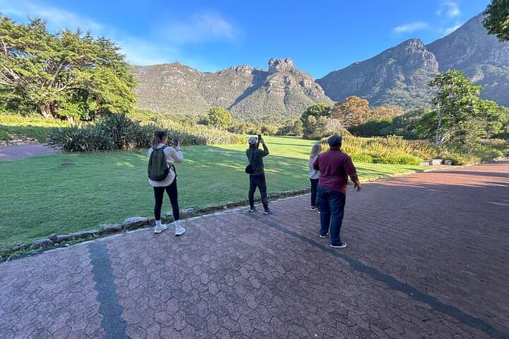 Table Mountain Cable Car to Kirstenbosch: Half-Day Botanical & Summit Experience in Cape Town photo 3