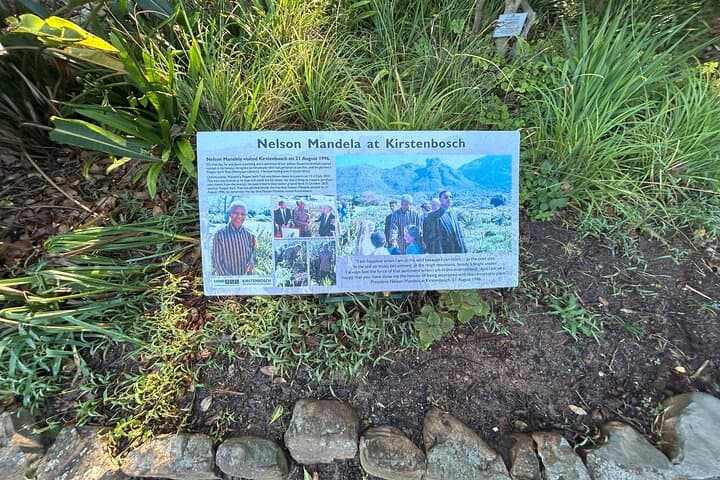 Table Mountain Cable Car to Kirstenbosch: Half-Day Botanical & Summit Experience in Cape Town photo 4