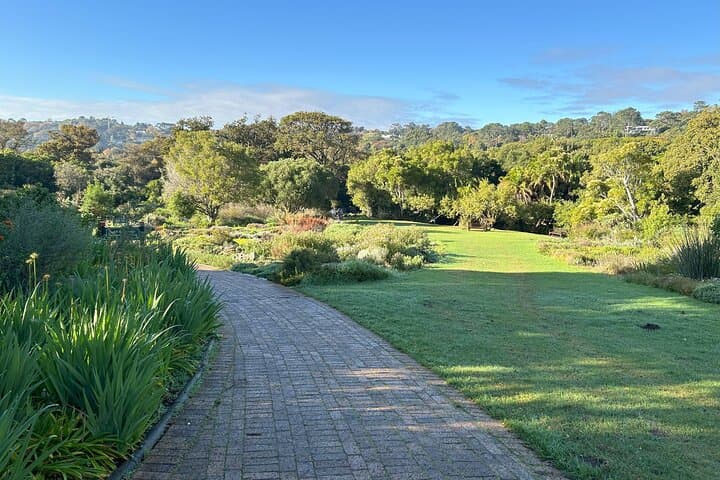 Table Mountain Cable Car to Kirstenbosch: Half-Day Botanical & Summit Experience in Cape Town photo 5
