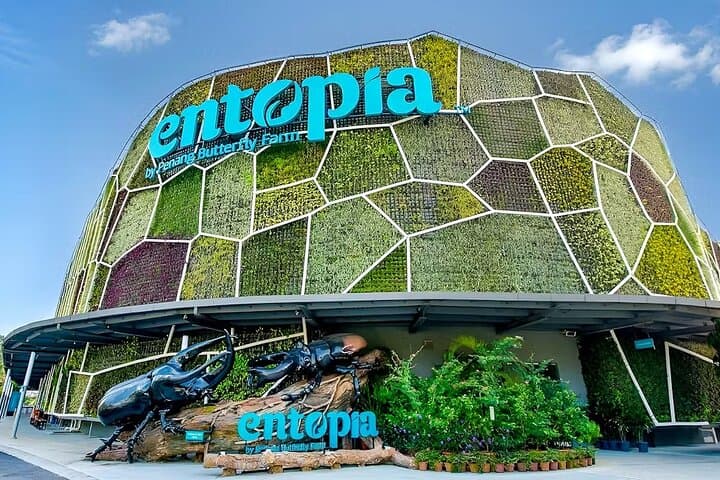 Penang City & Entopia: George Town Heritage and Butterfly Garden Half-Day Tour