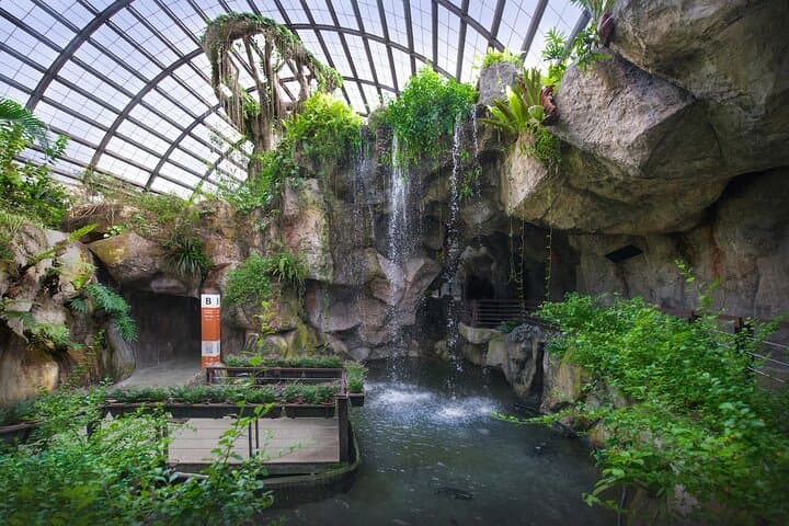 Penang City & Entopia: George Town Heritage and Butterfly Garden Half-Day Tour photo 2