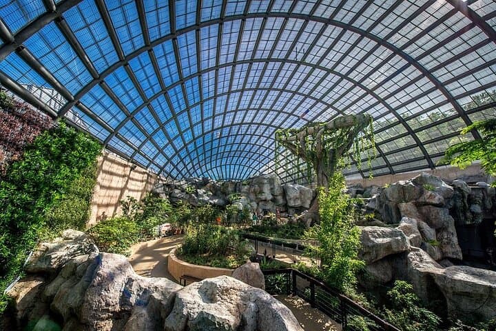 Penang City & Entopia: George Town Heritage and Butterfly Garden Half-Day Tour photo 3