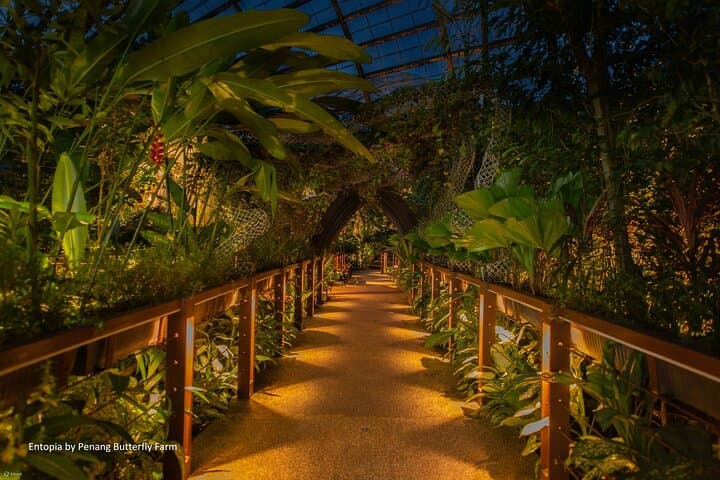 Penang City & Entopia: George Town Heritage and Butterfly Garden Half-Day Tour photo 4
