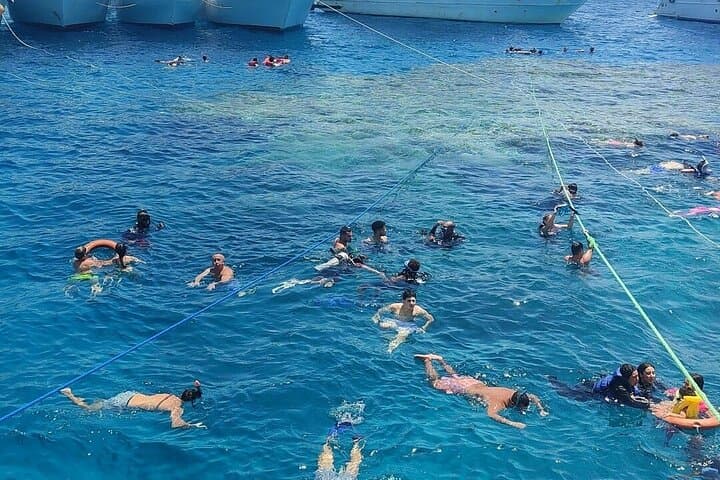 Full-Day Ras Mohamed & White Island Snorkel Cruise from Sharm El Sheikh photo 3