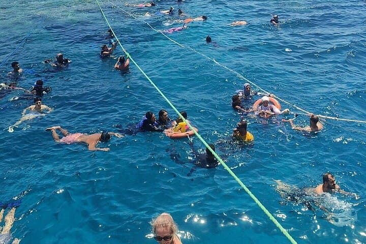 Full-Day Ras Mohamed & White Island Snorkel Cruise from Sharm El Sheikh photo 2