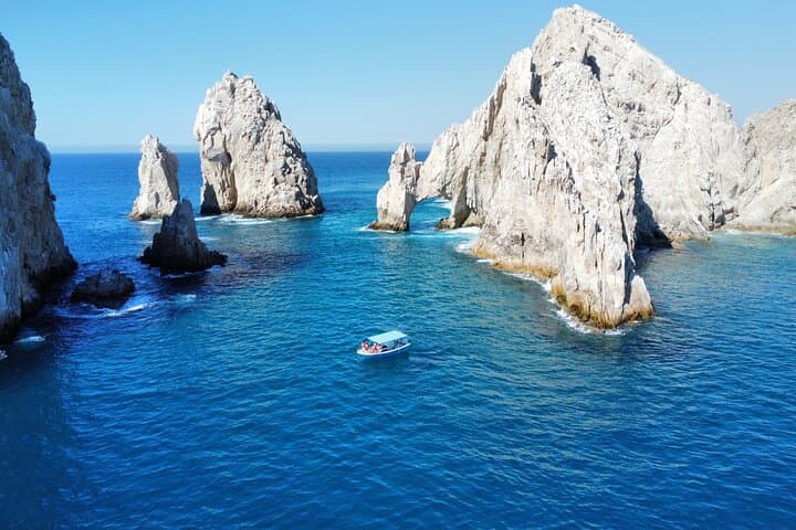 Sunrise Whale Watching with Marine Biologist in Cabo San Lucas photo 2
