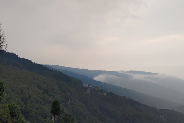 Darjeeling Forests on Foot: Senchal & Singalila Village Walks photo 2