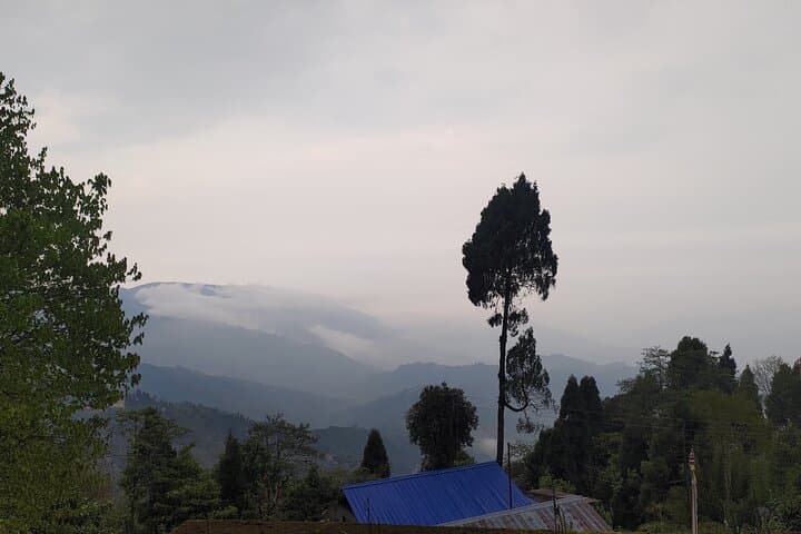 Darjeeling Forests on Foot: Senchal & Singalila Village Walks photo 3