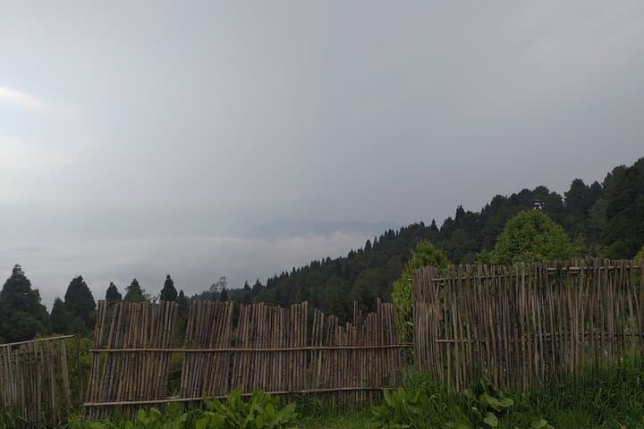 Darjeeling Forests on Foot: Senchal & Singalila Village Walks photo 4