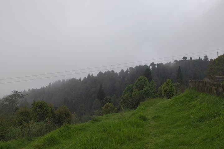 Darjeeling Forests on Foot: Senchal & Singalila Village Walks photo 5