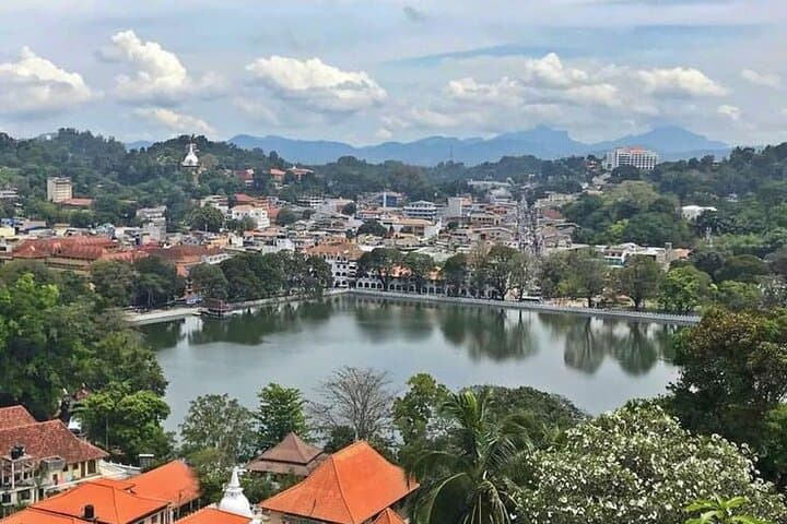 Private Kandy City Tour by TukTuk: Tea, Temples & Botanical Gardens photo 3