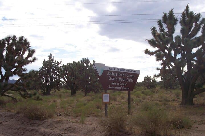 Grand Canyon West Rim Day Trip from Las Vegas with Skywalk at Eagle Point photo 6
