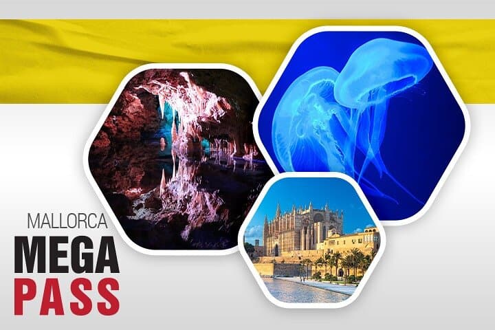 Mallorca MegaCombo: La Seu Cathedral, Hams Caves & Palma Aquarium — One-Day Sightseeing photo 1