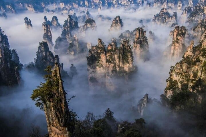 Zhangjiajie National Forest Park Entrance Ticket — 4-Day Access to Yuanjiajie & Tianzi Peak photo 3