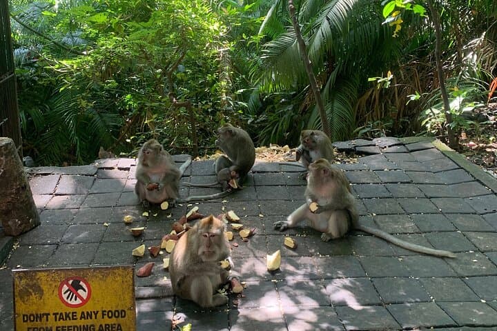 Ubud Day Tour: Monkey Forest, Kanto Lampo Waterfall & Tegalalang Rice Terraces photo 5