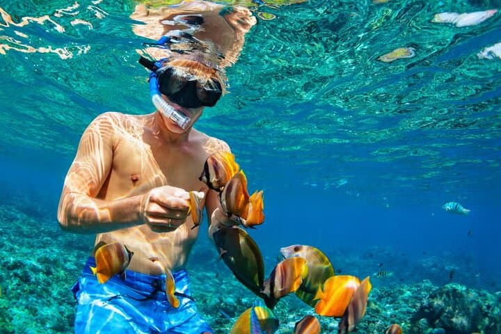 Blue Lagoon Bali Snorkeling Tour from Ubud & Sanur — Shared Transfer and Lunch photo 6
