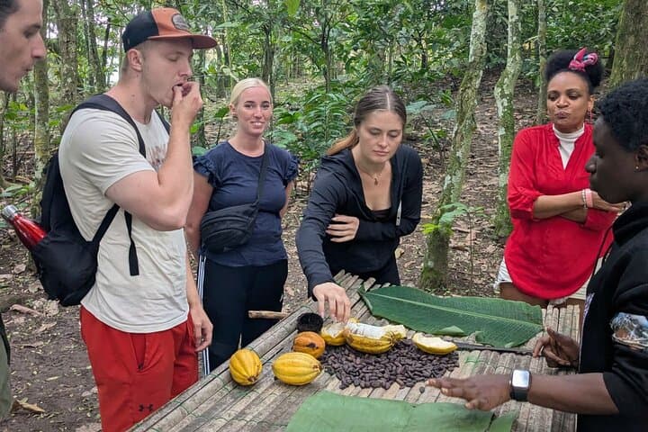 Boti Falls & Aburi Gardens Day Tour — Waterfalls, Umbrella Rock and Cocoa Farm Experience photo 5