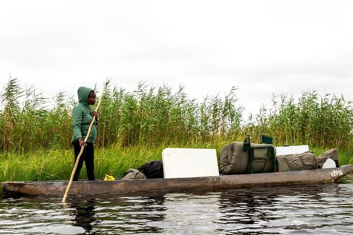 3-Day Mokoro Safari in the Okavango Delta: Camping, Mokoro Poling & Wildlife photo 4
