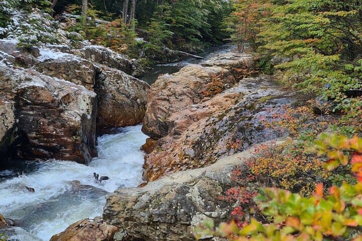End of the World Train: Tierra del Fuego National Park Day Tour from Ushuaia photo 3