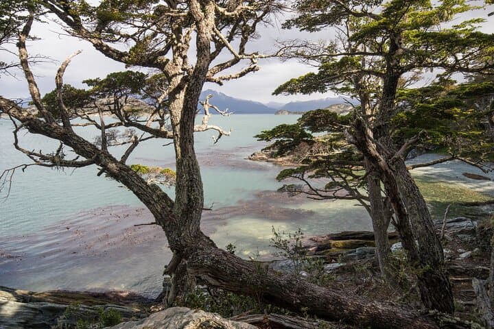 End of the World Train: Tierra del Fuego National Park Day Tour from Ushuaia photo 5