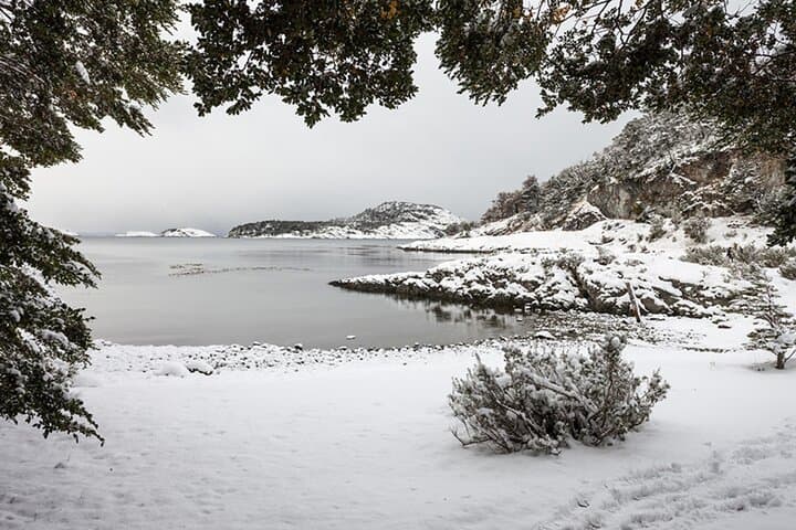 End of the World Train: Tierra del Fuego National Park Day Tour from Ushuaia photo 6