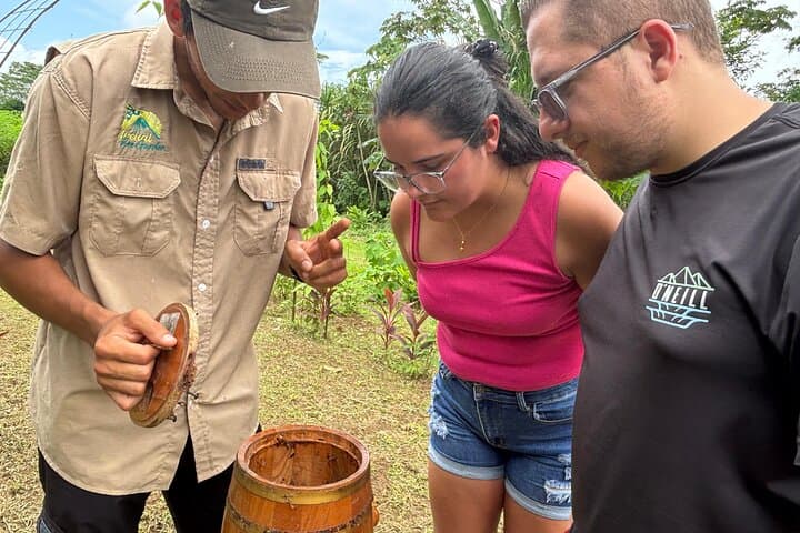 Meliponarium Tour: Stingless Bees & Healing Honey Near La Fortuna photo 1