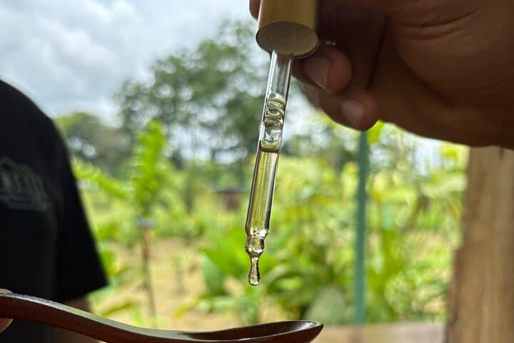 Meliponarium Tour: Stingless Bees & Healing Honey Near La Fortuna photo 4