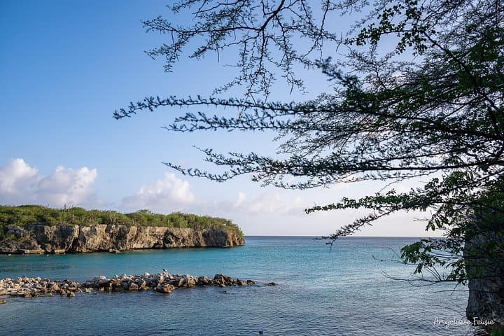 Capture Curaçao: Private Photography & Island Tour to Coastal Boka and Salt Pans photo 3