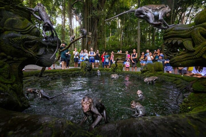 Ubud Zipline, Monkey Forest & Tibumana Waterfall Adventure photo 5