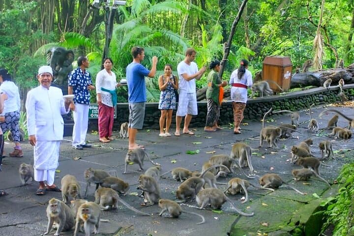 Ubud Waterfall, Tegalalang Rice Terraces & Monkey Forest Private Tour photo 5