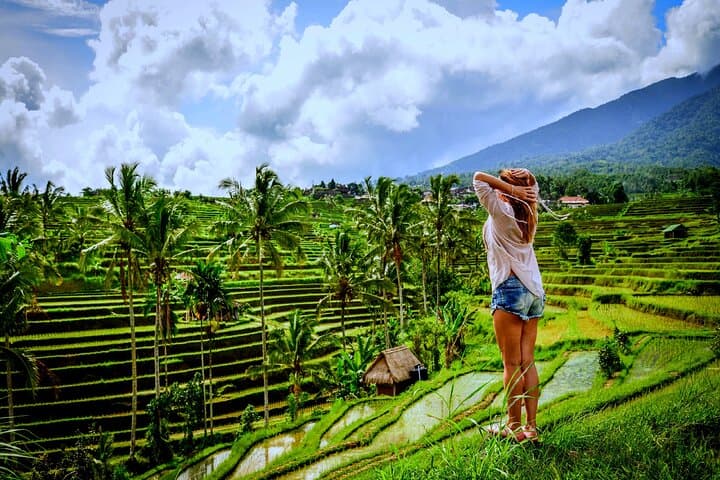 Ubud Waterfall, Tegalalang Rice Terraces & Monkey Forest Private Tour photo 3
