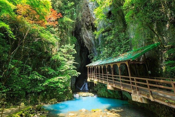Shimonoseki Day Tour: Akiyoshido Cave, Motonosumi Inari & Tsunoshima Bridge